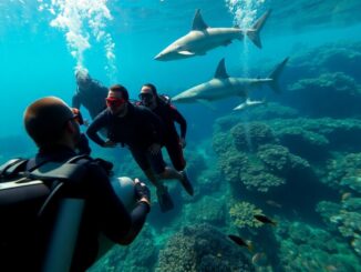 star studded shark encounter show fails to make a splash 1760944544