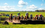 ultimate guide to irish point to point fixtures for 2025 26 season 1763092945