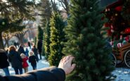 unlocking the health benefits of choosing the perfect christmas tree 1764239993