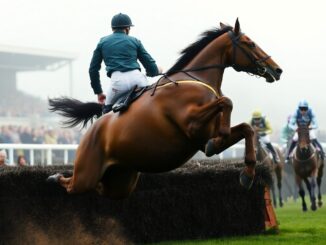 il etait temps triumphs at betfair tingle creek chase a race to remember 1765165721