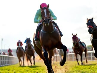 il etait temps triumphs in the prestigious tingle creek chase 1765136387