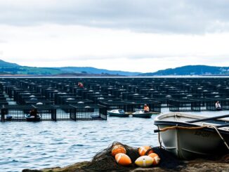 salmon farming industry addresses economic benefit claims a comprehensive response 1764559550