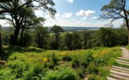 exploring the new forest a perfect fusion of nature and history 1768642327