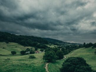 rylan clark embraces freedom after ditching fake tan 1768728332